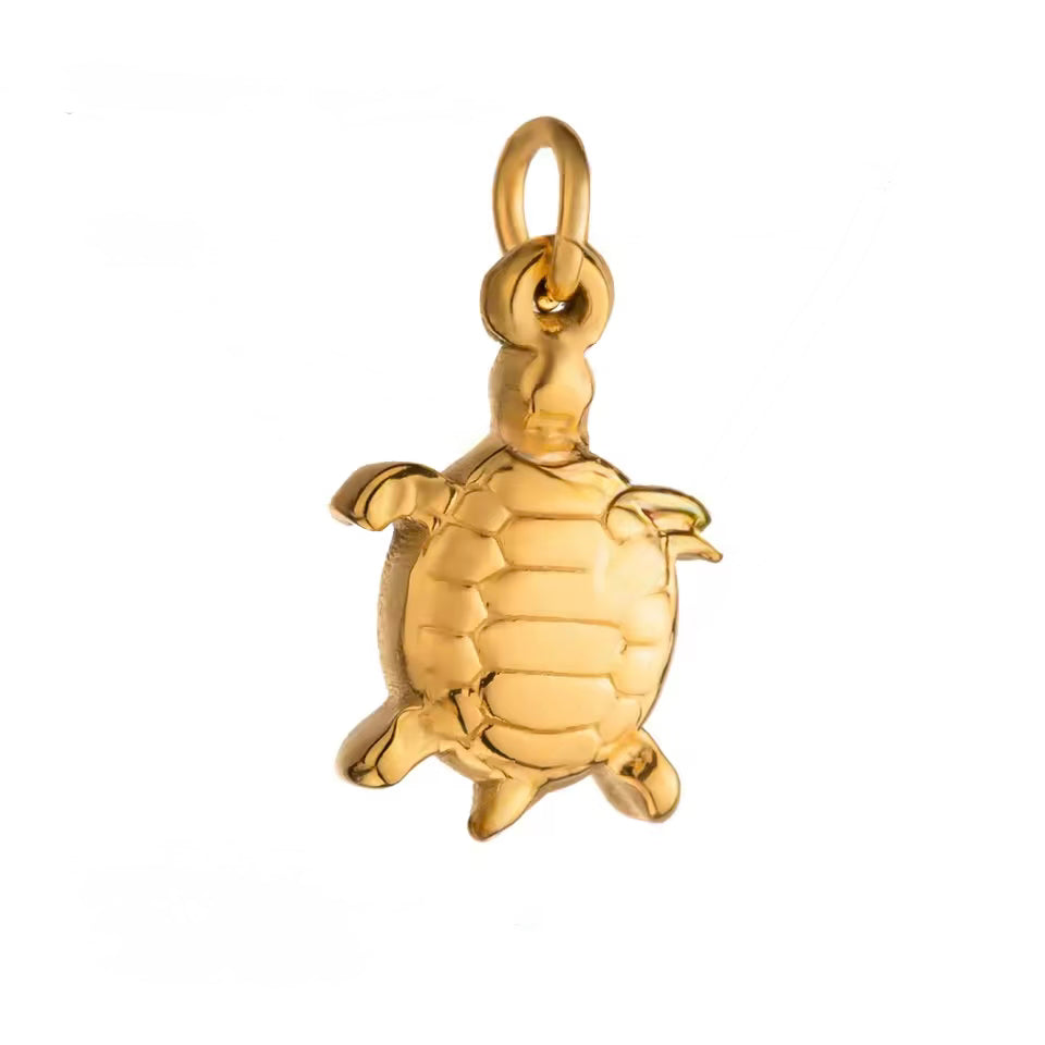 Turtle Charm